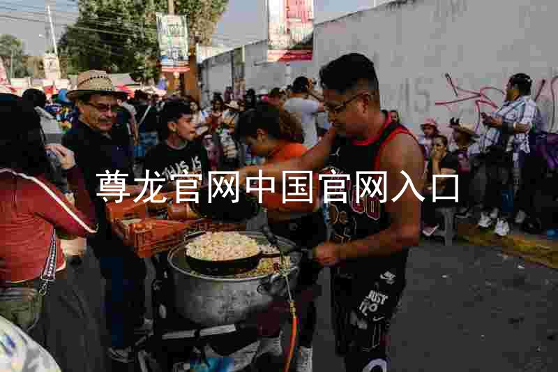 尊龙官网中国官网入口