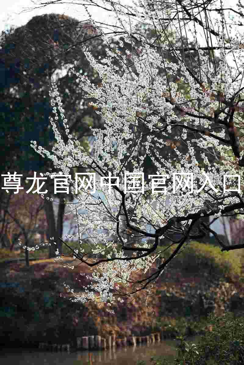 尊龙官网中国官网入口