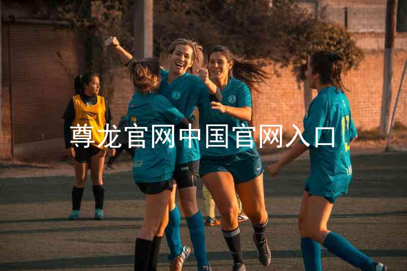 尊龙官网中国官网入口