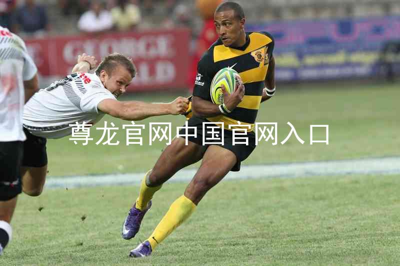 尊龙官网中国官网入口