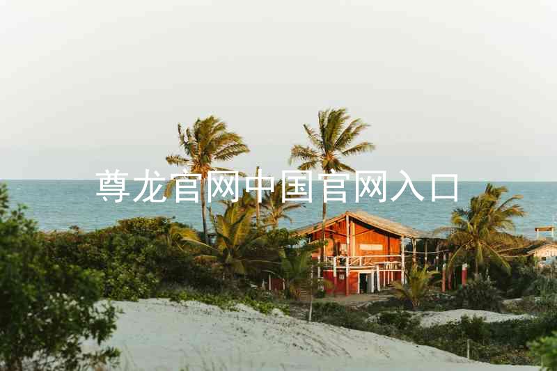 尊龙官网中国官网入口