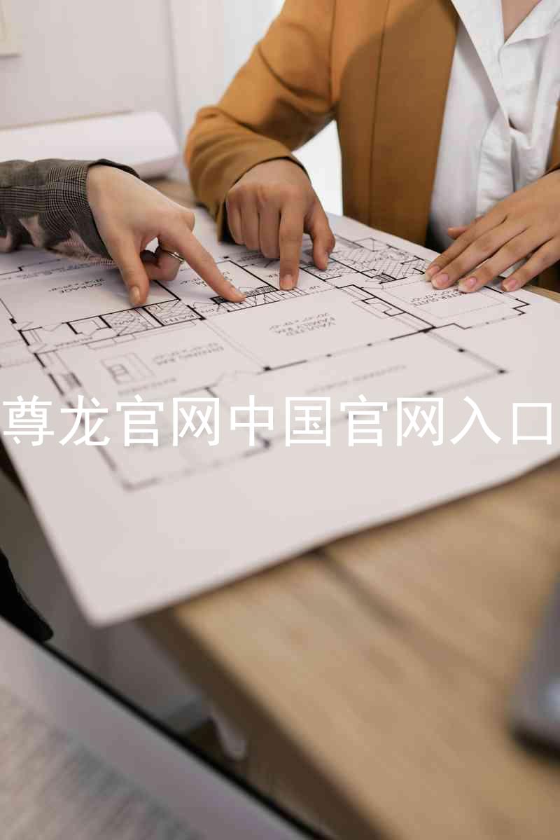 尊龙官网中国官网入口