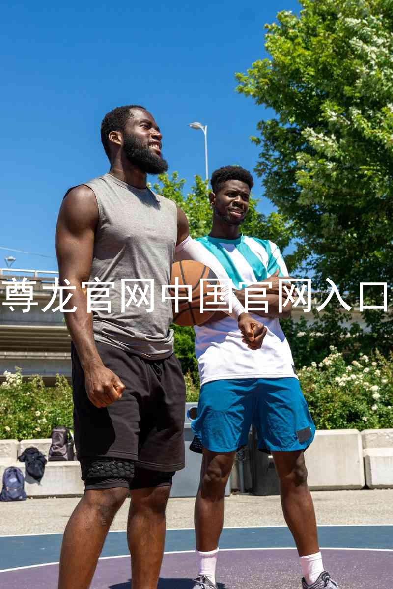 尊龙官网中国官网入口