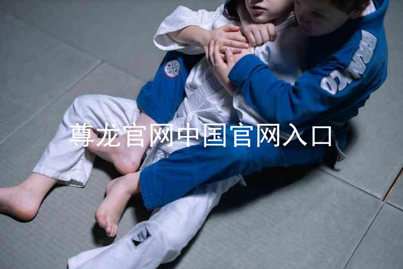 尊龙官网中国官网入口